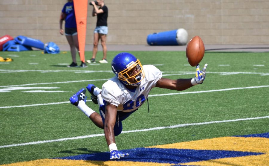 Sophomore wide receiver Adam Anderson attempts to catch a touchdown pass in an intrasquad scrimmage Aug. 19. The Jacks begin the season Aug. 31 against Duquesne.