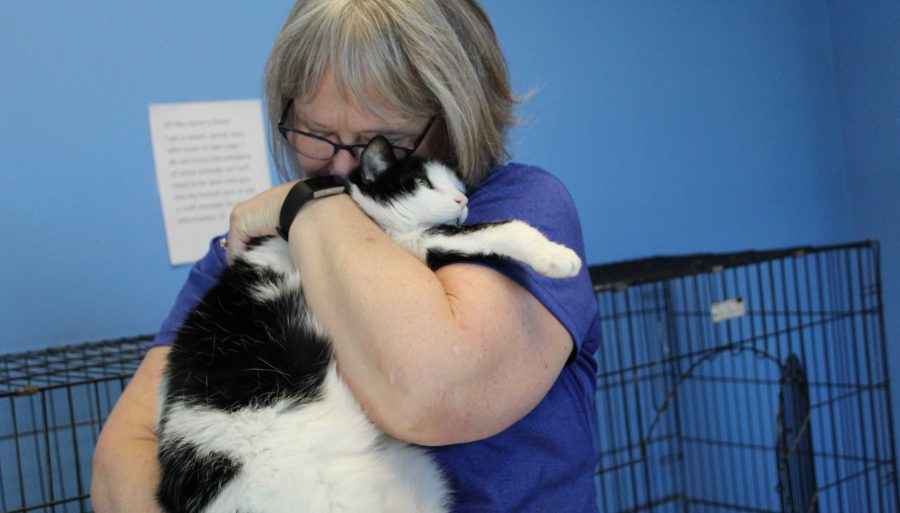 JENNY NGUYEN
A caretaker hugs Oreo Wednesday, Jan. 17. Oreo doesn’t do well around other cats
and has been at the Brookings Regional Humane Society for quite some time. The Brookings Regional Humane Society is located at 120 W Second St S, Brookings, SD
57006.