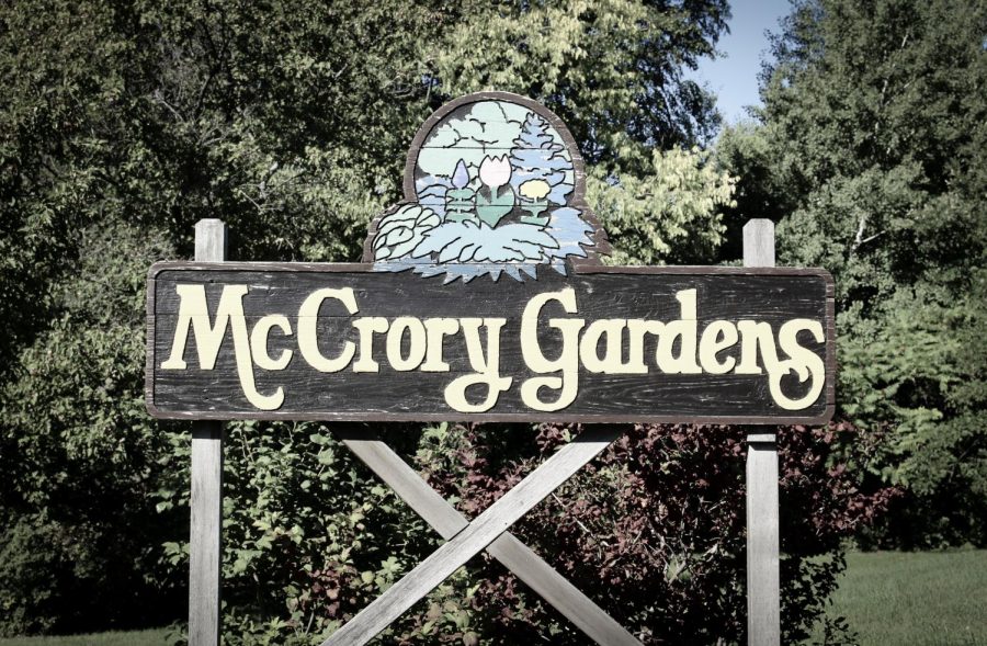 McCrory Gardens ‘Garden Glow’ event lights up SDSU