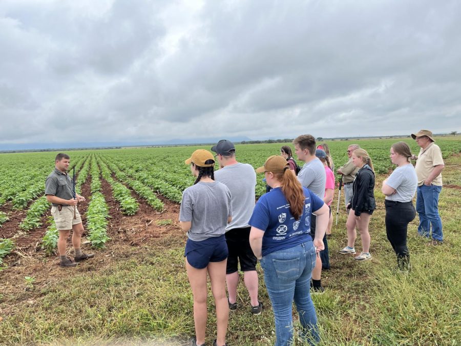 South Dakota State University agriculture students get a lesson on South African agricultural practices during a spring break trip to the African nation.