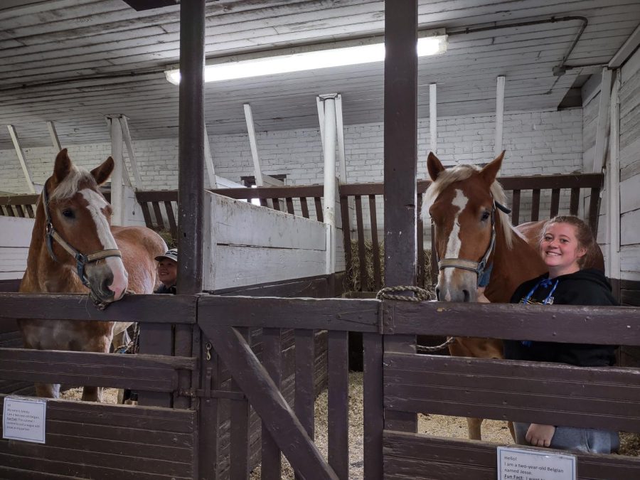 Erin Thomas (left) and Ellory Jacoby , Horse Club members, help with the Horse Club petting zoo last fall.