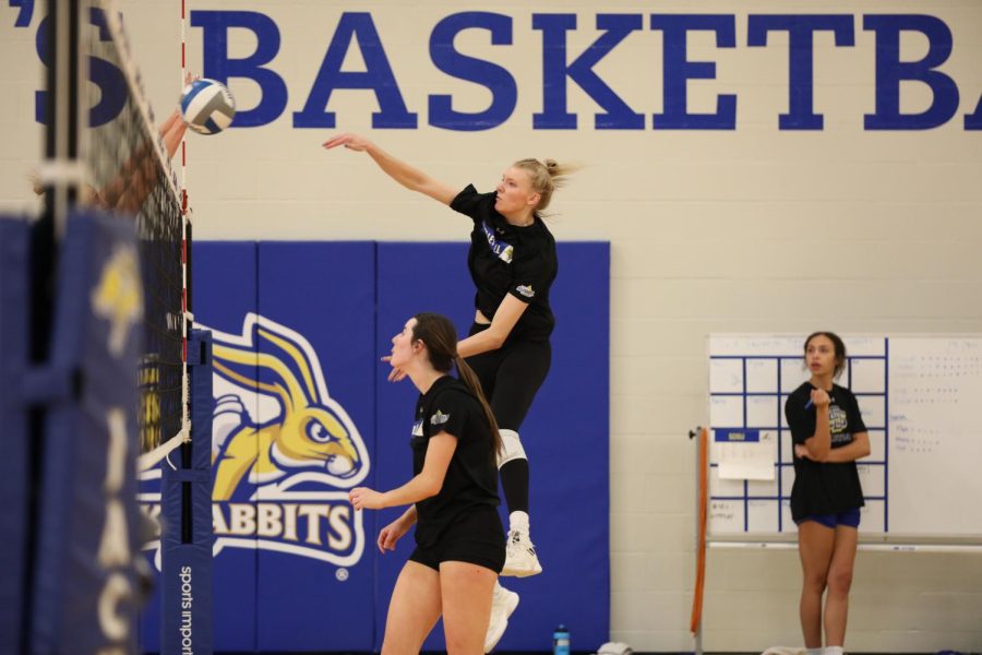 Volleyball+transfer+comes+home%3A+Sydni+Schetnan+comes+to+Brookings+after+a+season+at+Louisville