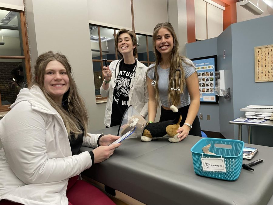 Students (right to left) Sydney Huffman, Althena Bjorback and Emily Cole pretend veterinarians in the “Whiskers & Tails” room. The name of the stuffed dog went unknown, but the (pretend) vets are positive there will be a quick recovery for the pet.