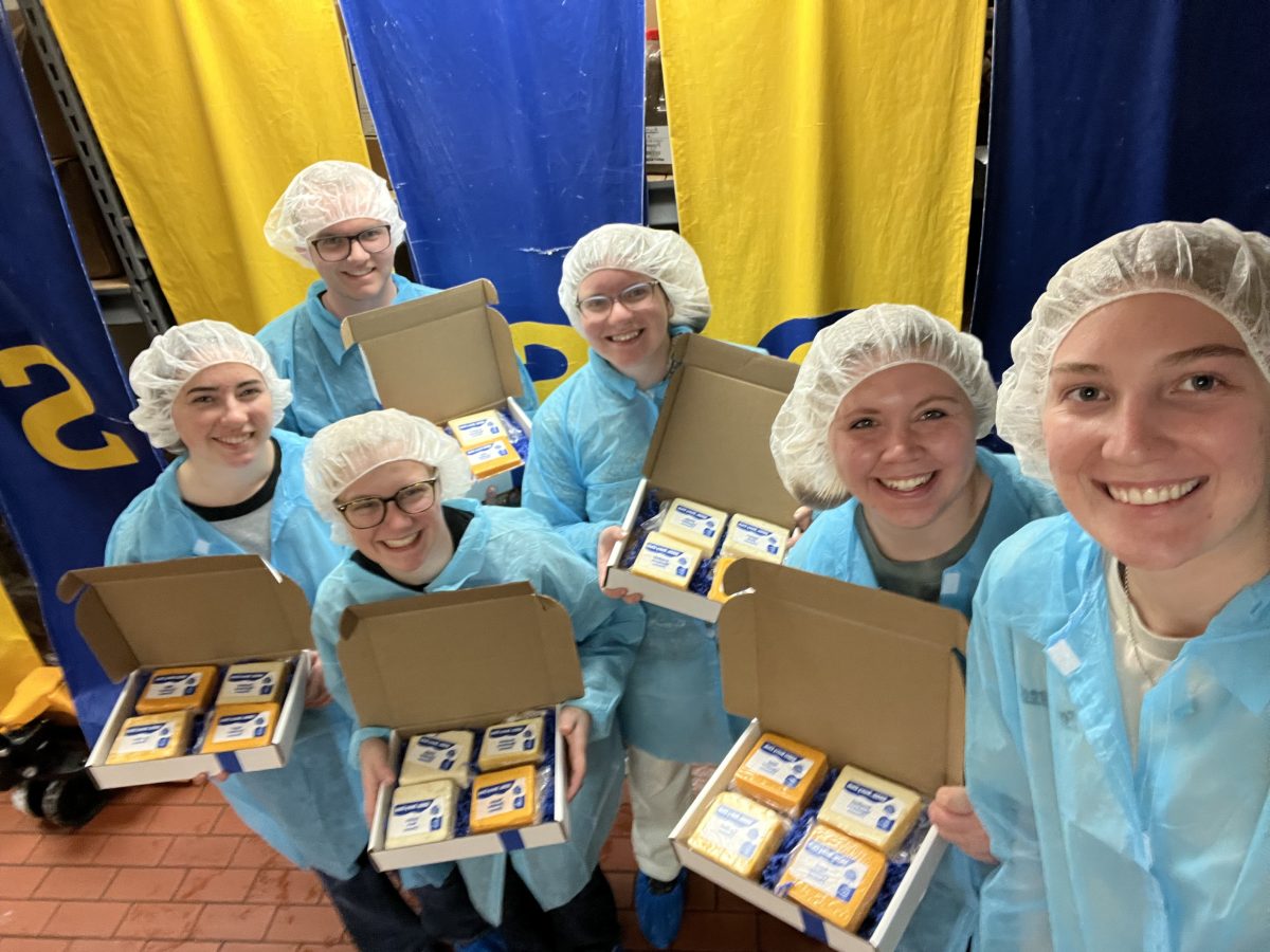 SDSU Dairy Club members display cheese blocks placed in boxes shortly before selling them. Members gathered at the Davis Dairy Plant and cut down 20 pound blocks of cheese into 30 chunks.
