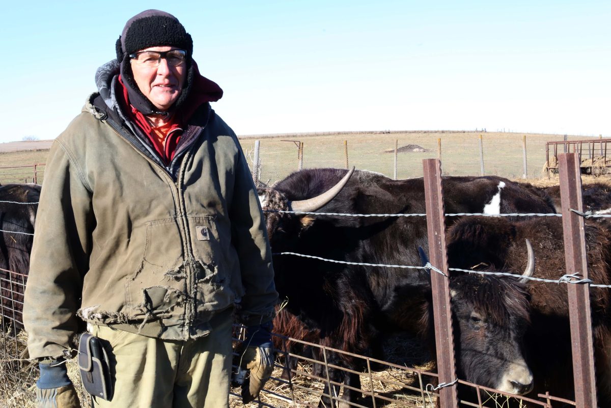 Dave Tvedt proudly stands next to 5 out of his total 80 Yaks at Pink Flamino Yak Ranch north of Sinai South Dakota on Tuesday, Nov. 21, 2023.