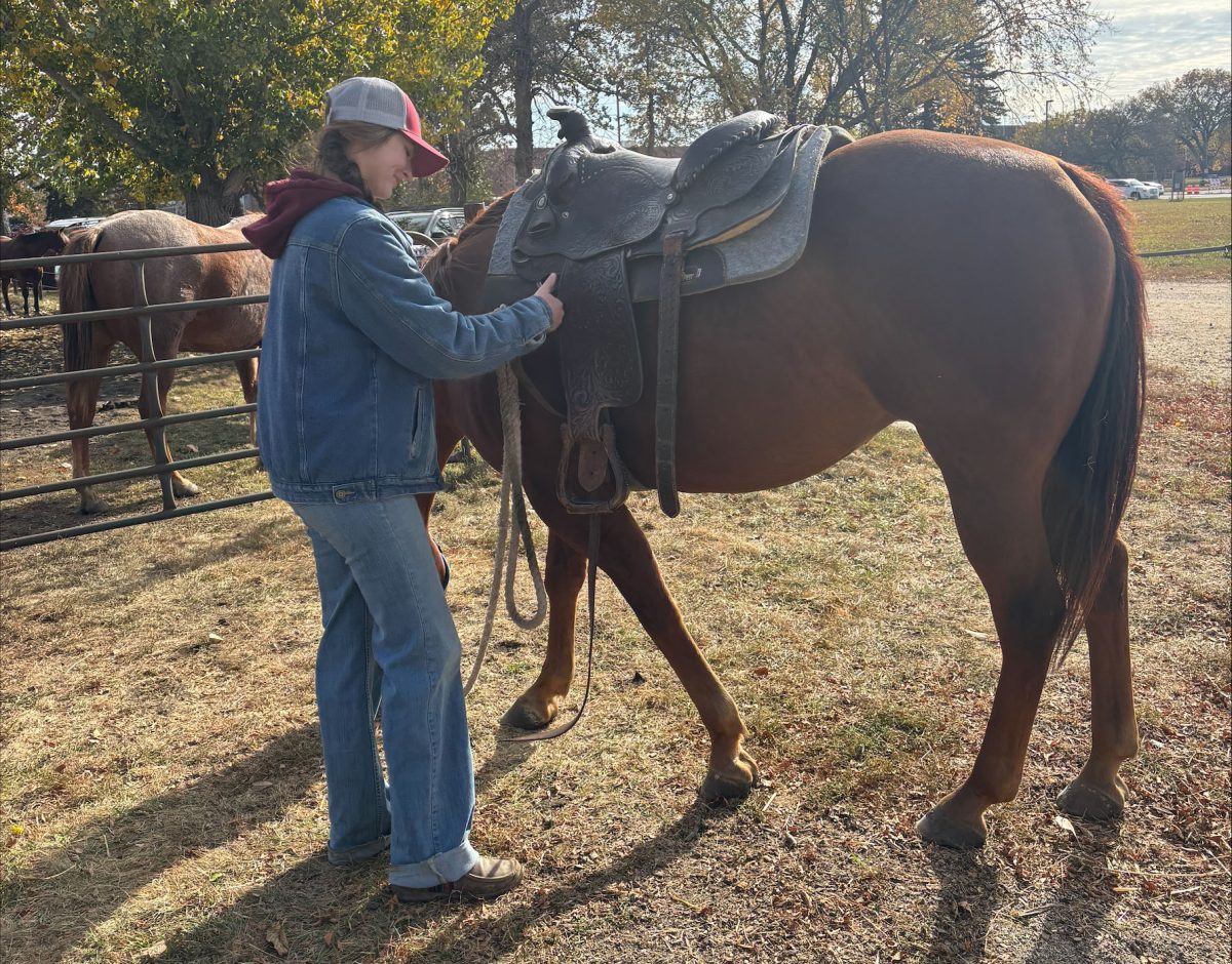 Just horsin' around