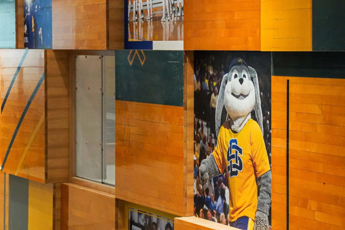 The South Wall has 250 squares total and include 47 historical and important  photos in Frost Arena.  