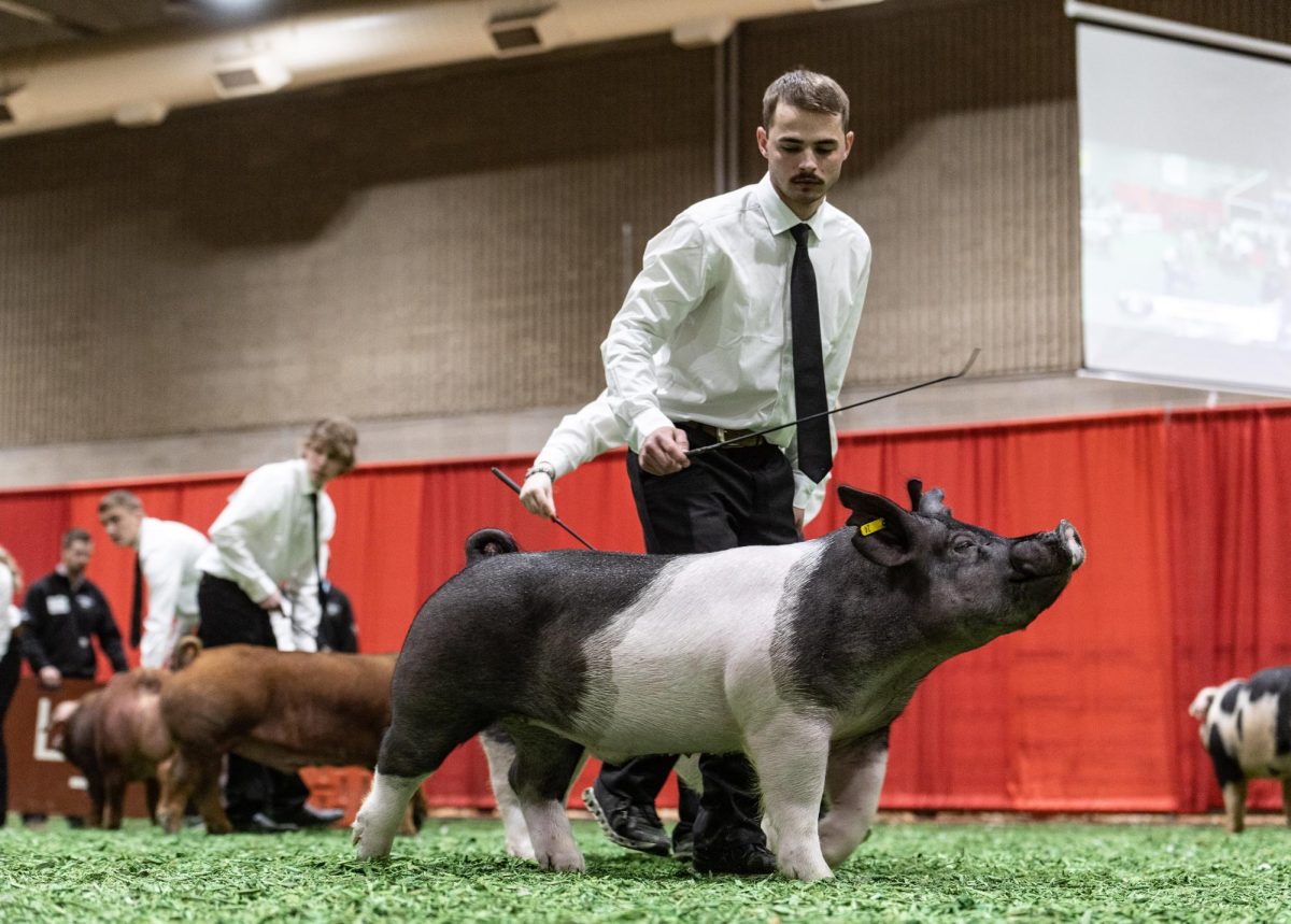 Students lead one of SDSU's biggest traditions