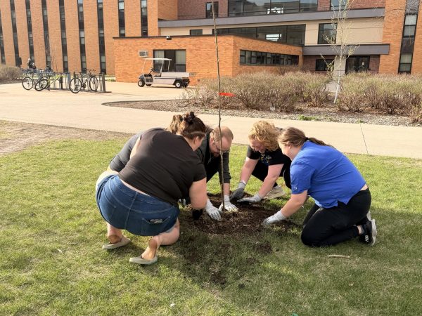Arbor Day attendees work together to plant a tree on April 23, 2026, outside of Brown Hall.